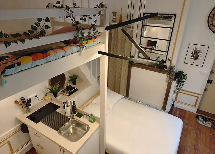 Studio Lumineux Et Fleuri Idealement Situe Apartment Caen