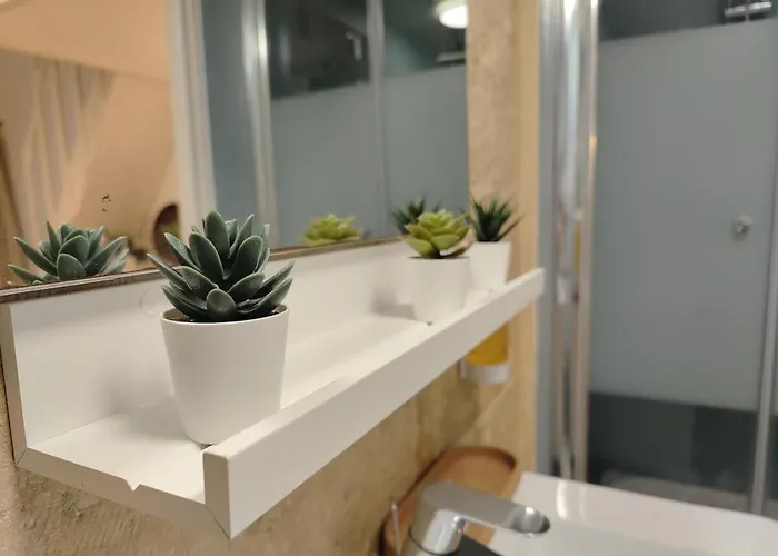 Studio Lumineux Et Fleuri Idealement Situe Apartment Caen