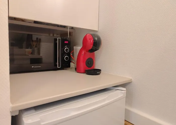 Studio Lumineux Et Fleuri Idealement Situe