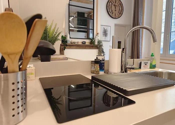 Studio Lumineux Et Fleuri Idealement Situe Caen