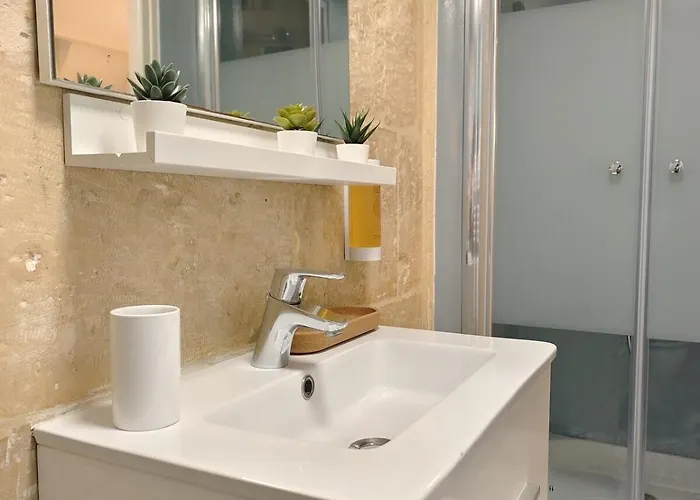 Apartment Studio Lumineux Et Fleuri Idealement Situe *